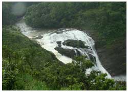 coorg trips