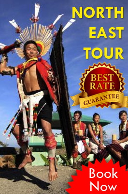 north-east-tour-package