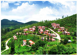 ooty tours-package