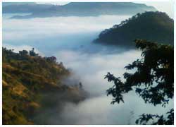Majestic Ranikhet and Nainital