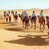 Bikaner  Camel Safari
