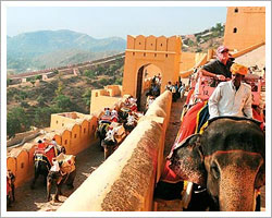 amer-fort-elephant-safari