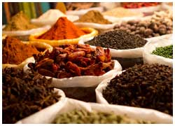 Best of Kerala with Spice Tour