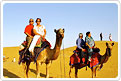camel-safari-tour