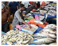 cochin-fish-and-spice-market