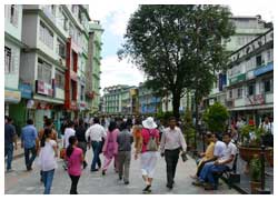 Mall Road of Darjeeling