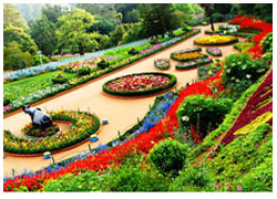 ooty holiday