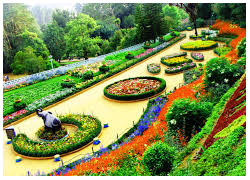 ooty tour packages