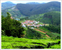 Ooty