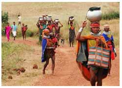 Tribal Tours of India
